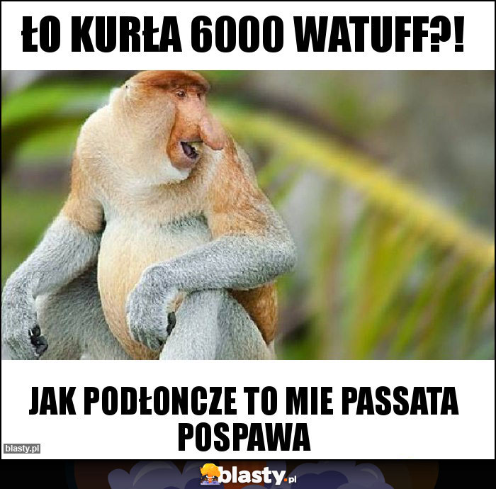 Ło kurła 6000 watuff?! Ło kurła 6000 watuff?!
