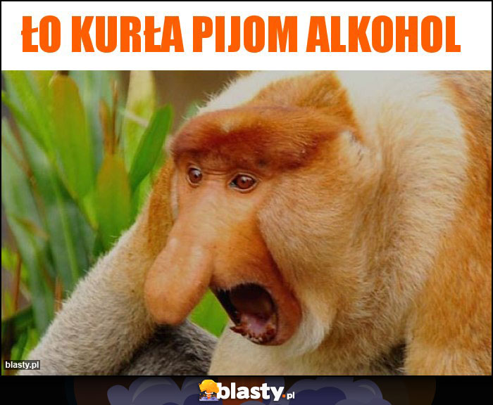 Ło kurła pijom alkohol Ło kurła pijom alkohol