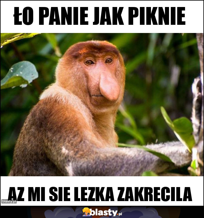 ło panie jak piknie ło panie jak piknie