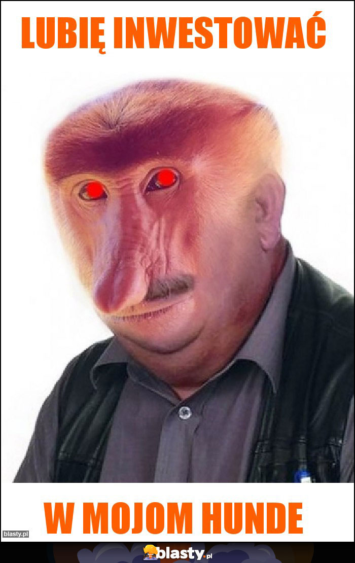 Lubię inwestować Lubię inwestować