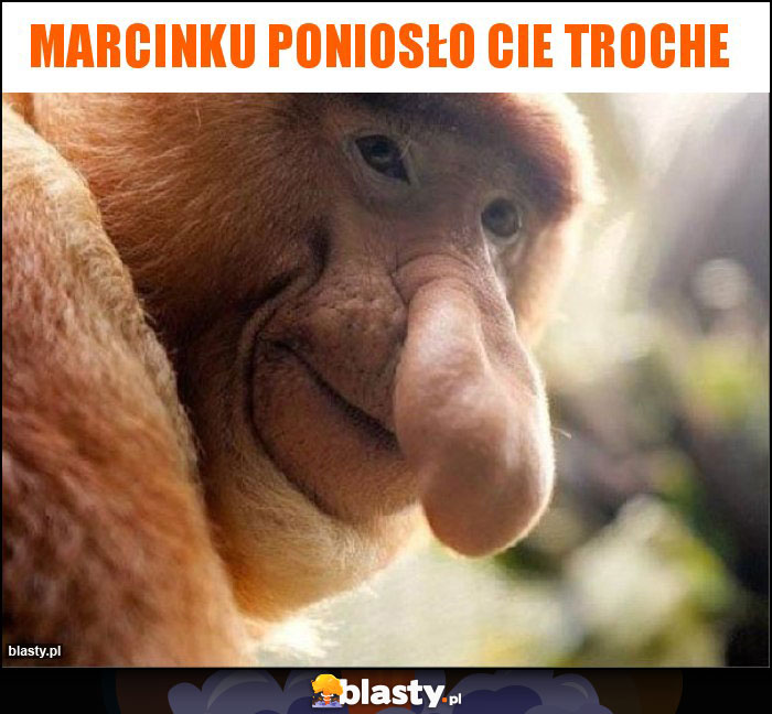 Marcinku poniosło cie troche Marcinku poniosło cie troche