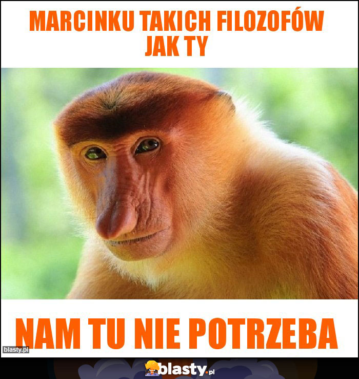 Marcinku takich filozofów jak ty Marcinku takich filozofów jak ty