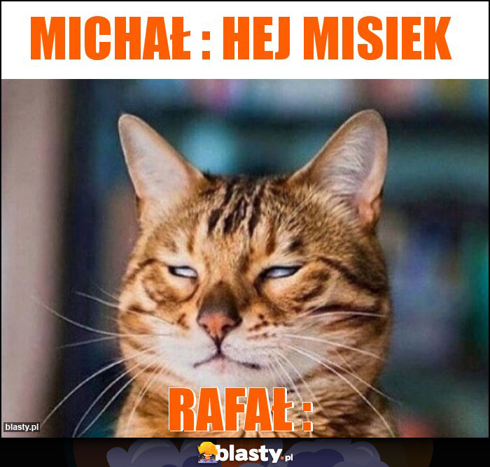 Michał : Hej Misiek Michał : Hej Misiek
