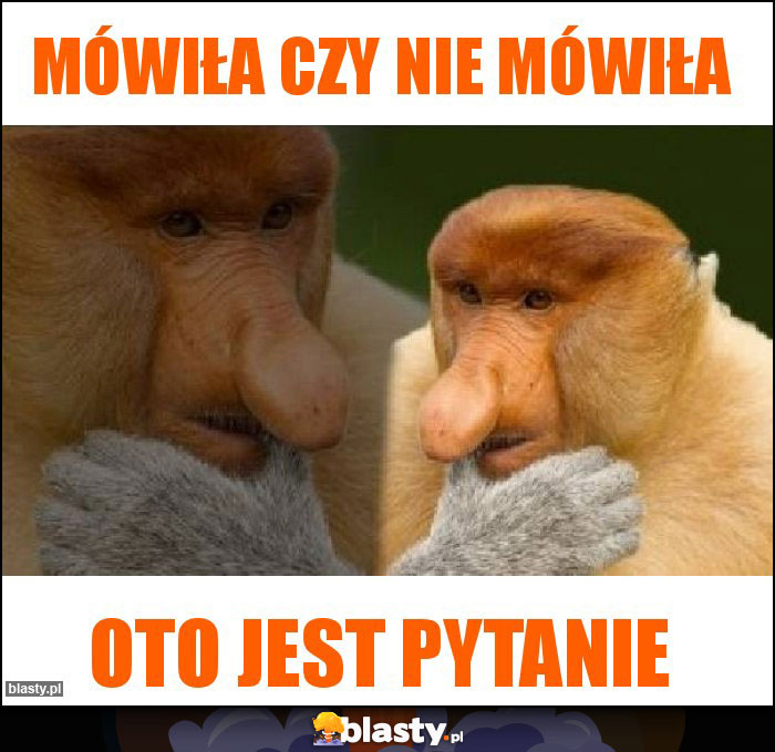 Mówiła czy nie mówiła Mówiła czy nie mówiła