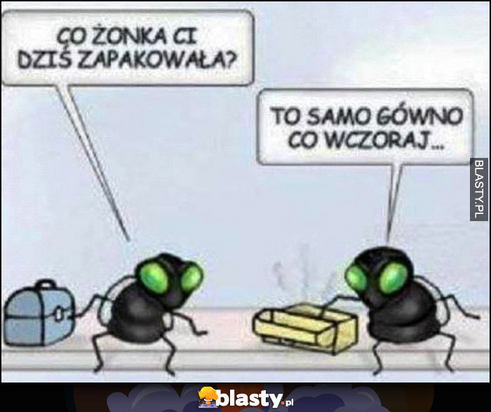 Muchy jedzą drugie śniadanie: co żonka Ci dziś zapakowała? To samo gówno co wczoraj