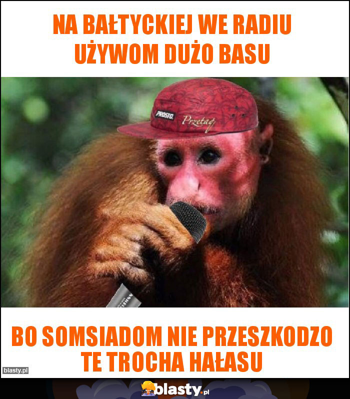 Na bałtyckiej we radiu używom dużo basu Na bałtyckiej we radiu używom dużo basu
