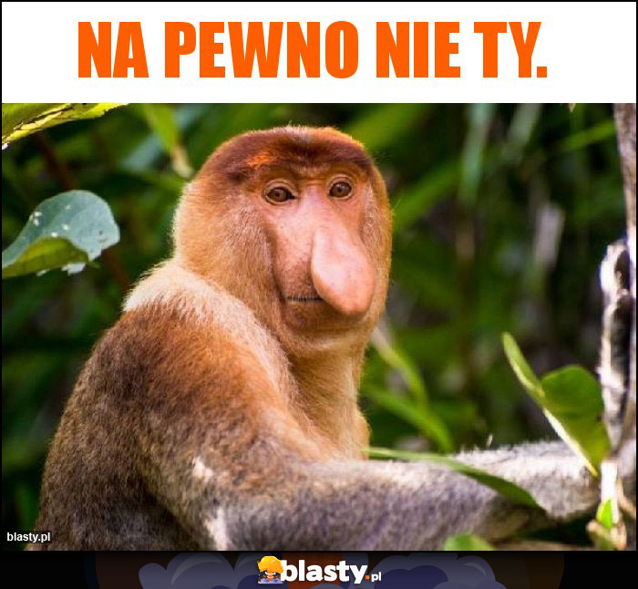 Na pewno nie Ty. Na pewno nie Ty.