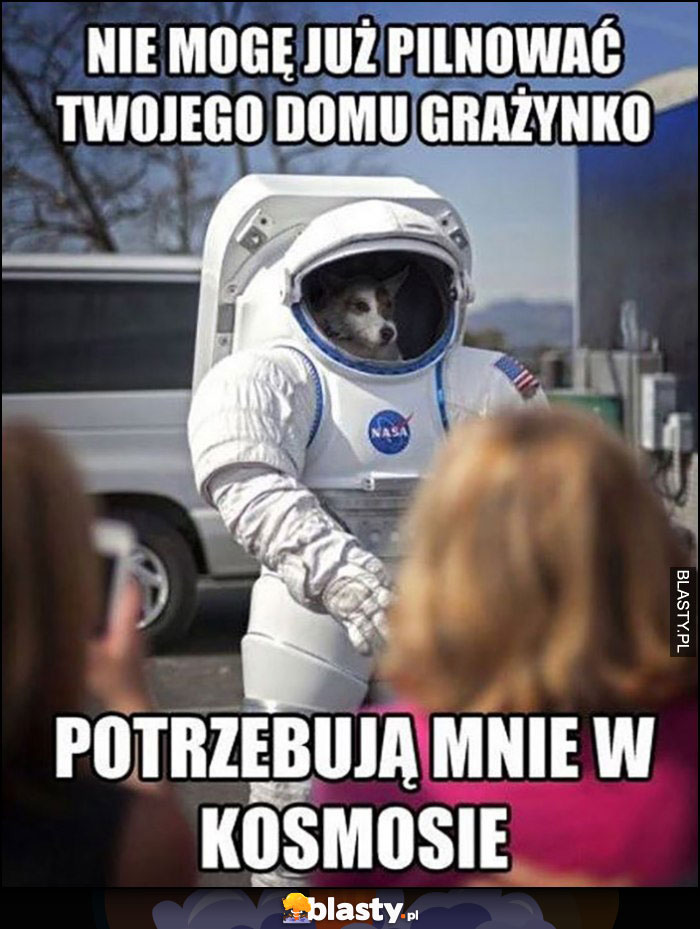 Nie mogę pilnować Twojego domu Grażynko, potrzebująmnie w kosmosie pies astronauta kosmonauta skafander kosmiczny