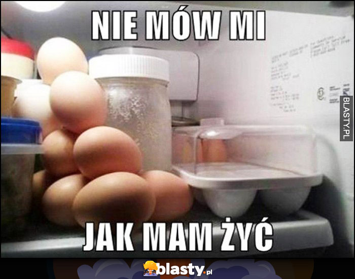 Nie mów mi jak mam żyć jajka ułożone luzem w lodówce