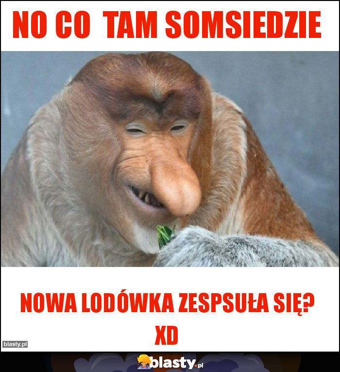 No Co tam somsiedzie No Co tam somsiedzie