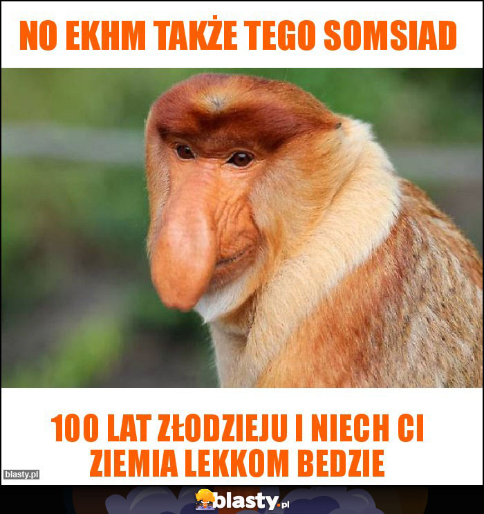 No ekhm także tego somsiad No ekhm także tego somsiad
