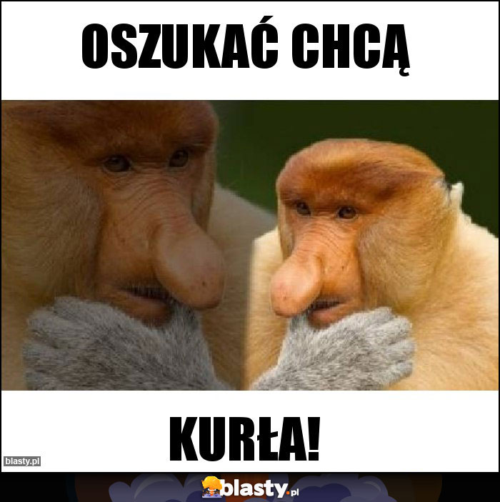 Oszukać chcą Oszukać chcą