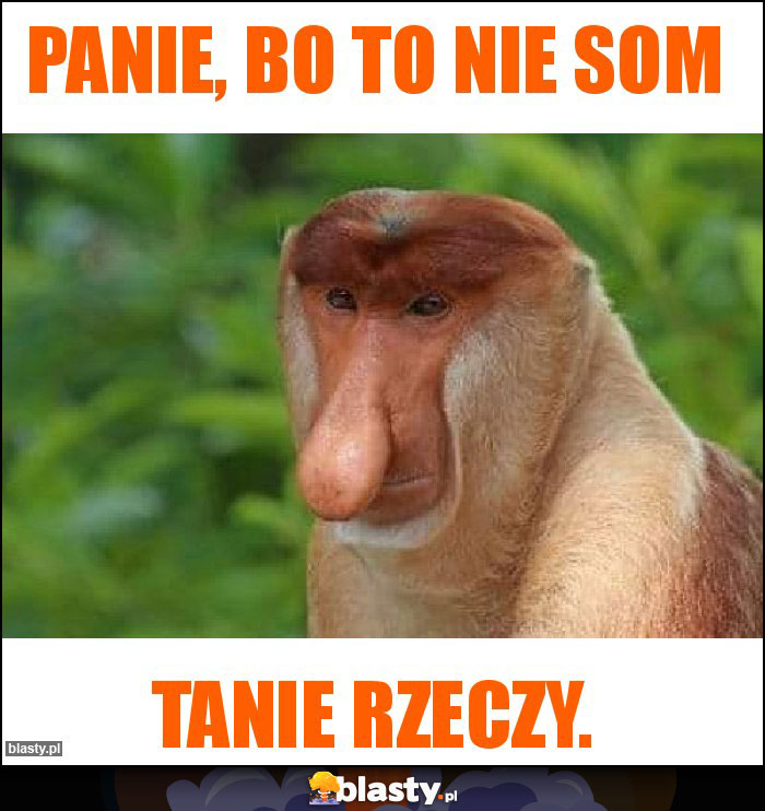 Panie, bo to nie som Panie, bo to nie som