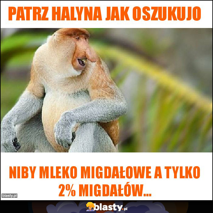 PATRZ HALYNA JAK OSZUKUJO PATRZ HALYNA JAK OSZUKUJO