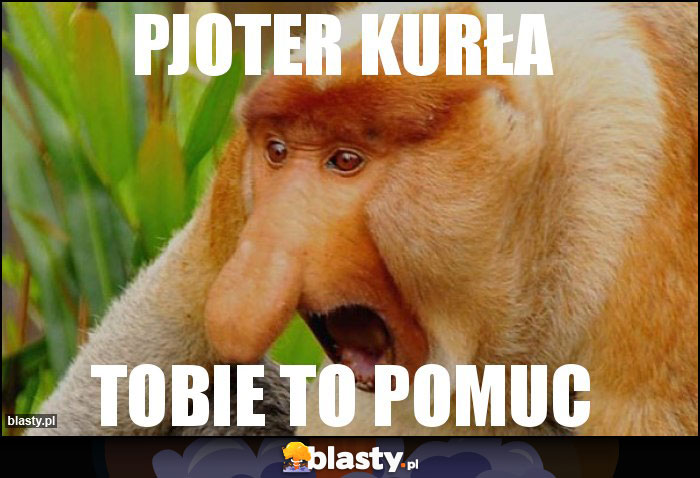 PJOTER KURŁA PJOTER KURŁA