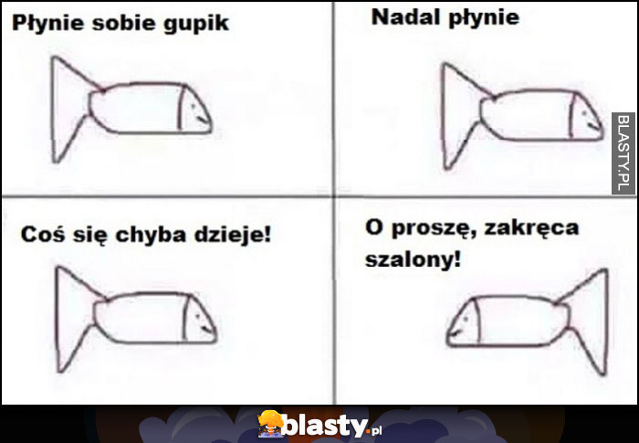 Płynie sobie gupik, nadal płynie, coś się chyba dzieje, o proszę, zakręca szalony komiks