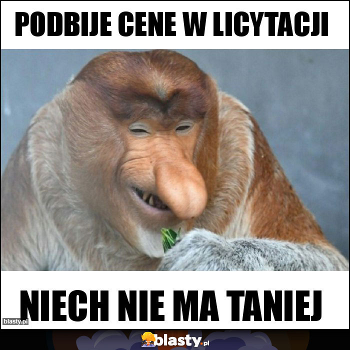 Podbije cene w licytacji Podbije cene w licytacji