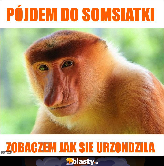 Pójdem do somsiatki