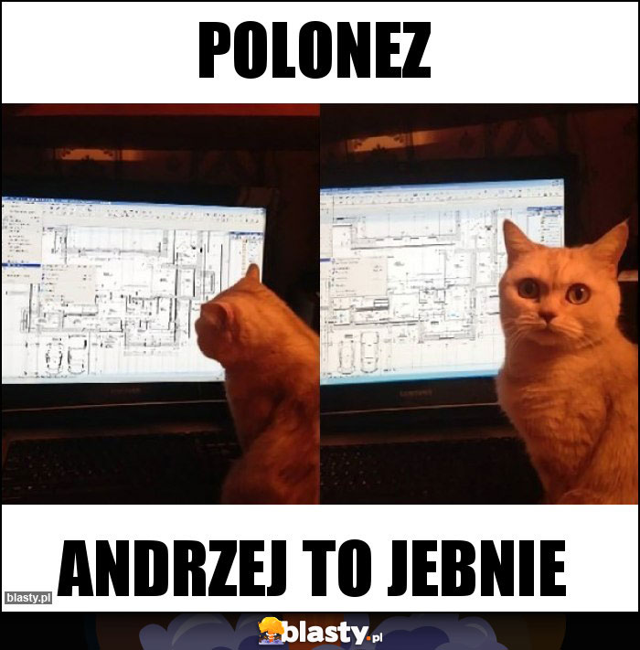 Polonez