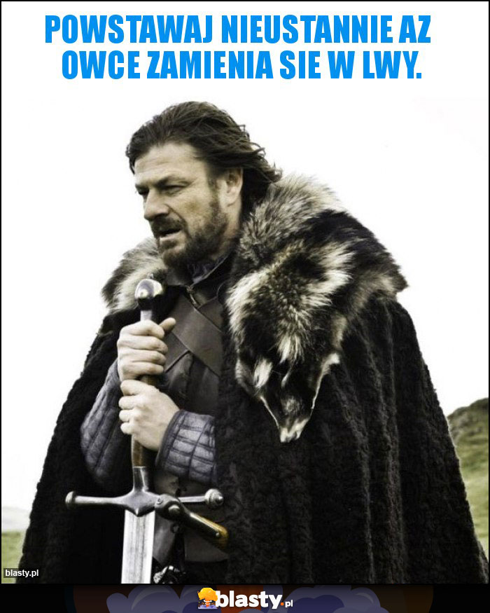 Powstawaj nieustannie az owce zamienia sie w lwy. Powstawaj nieustannie az owce zamienia sie w lwy.