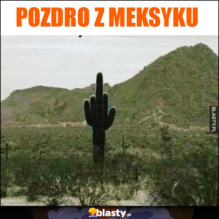 Pozdro z Meksyku Pozdro z Meksyku