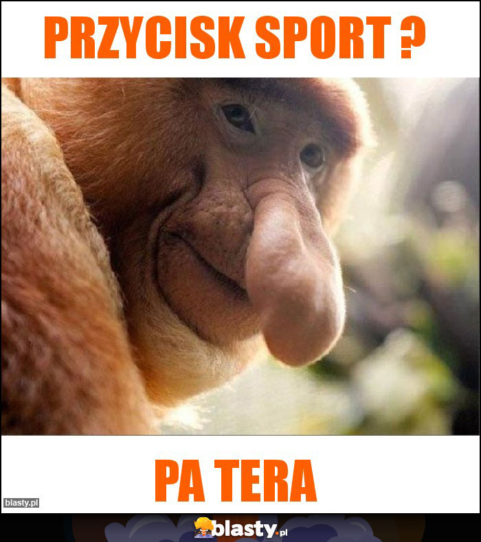 przycisk SPORT ? przycisk SPORT ?