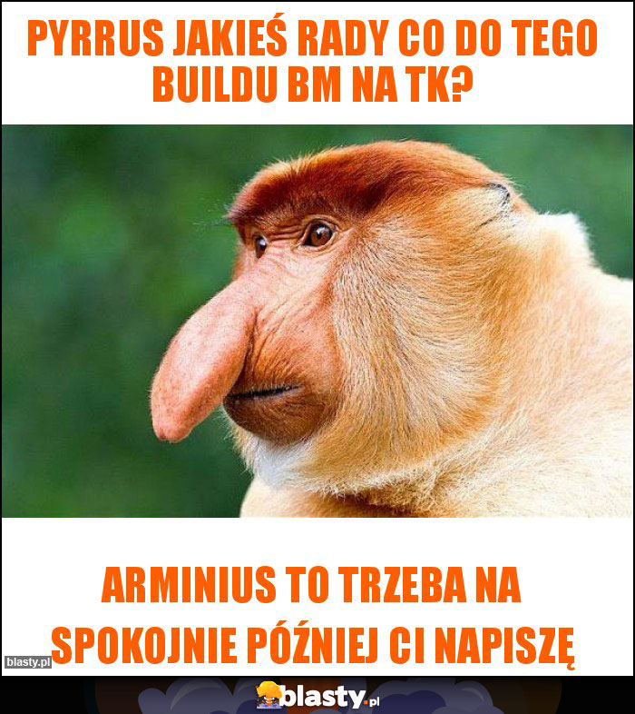 Pyrrus jakieś rady co do tego buildu BM na TK? Pyrrus jakieś rady co do tego buildu BM na TK?