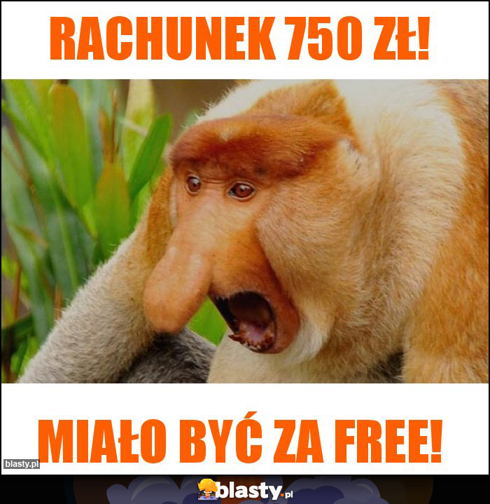 Rachunek 750 zł! Rachunek 750 zł!