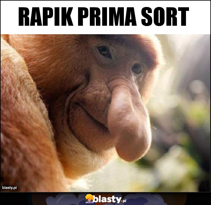 Rapik prima sort Rapik prima sort