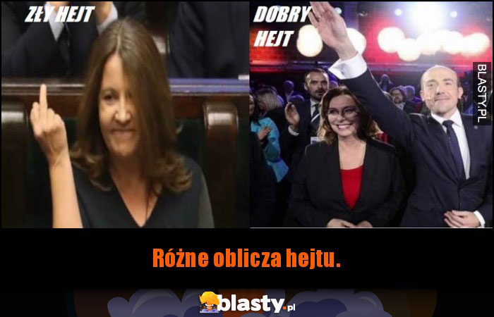 Rodzaje hejtu Rodzaje hejtu