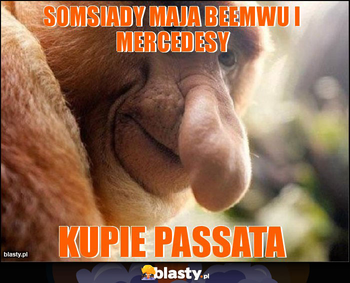 Somsiady maja beemwu i mercedesy Somsiady maja beemwu i mercedesy