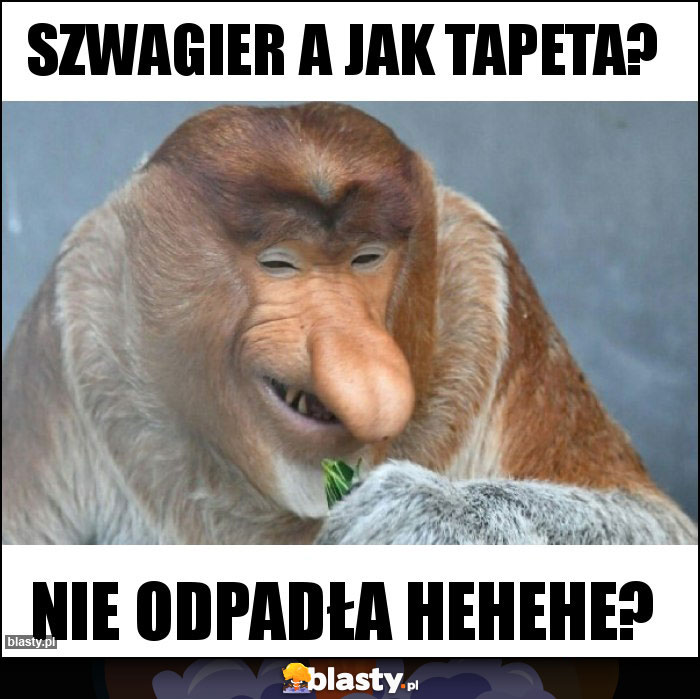 Szwagier a jak tapeta? Szwagier a jak tapeta?