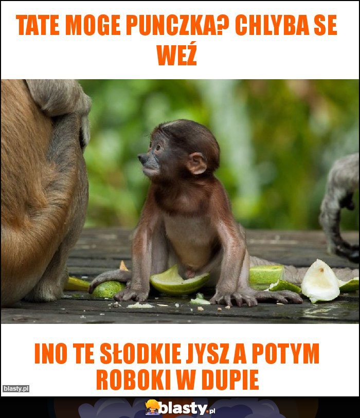 Tate moge punczka? Chlyba se weź Tate moge punczka? Chlyba se weź