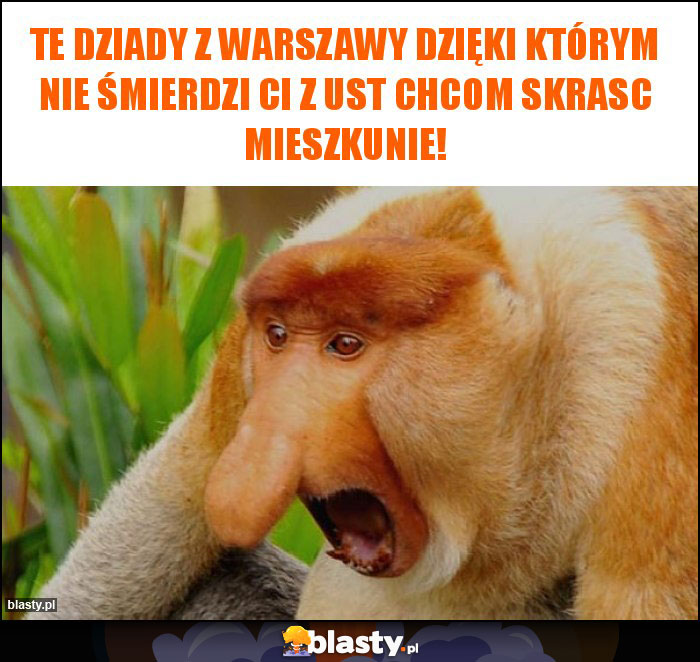 Te dziady z Warszawy dzięki którym nie śmierdzi Ci z ust chcom skrasc mieszkunie! Te dziady z Warszawy dzięki którym nie śmierdzi Ci z ust chcom skrasc mieszkunie!