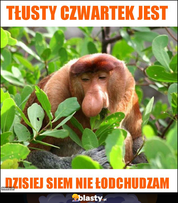 Tłusty czwartek jest Tłusty czwartek jest
