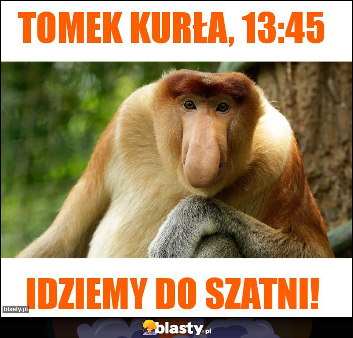 Tomek kurła, 13:45 Tomek kurła, 13:45