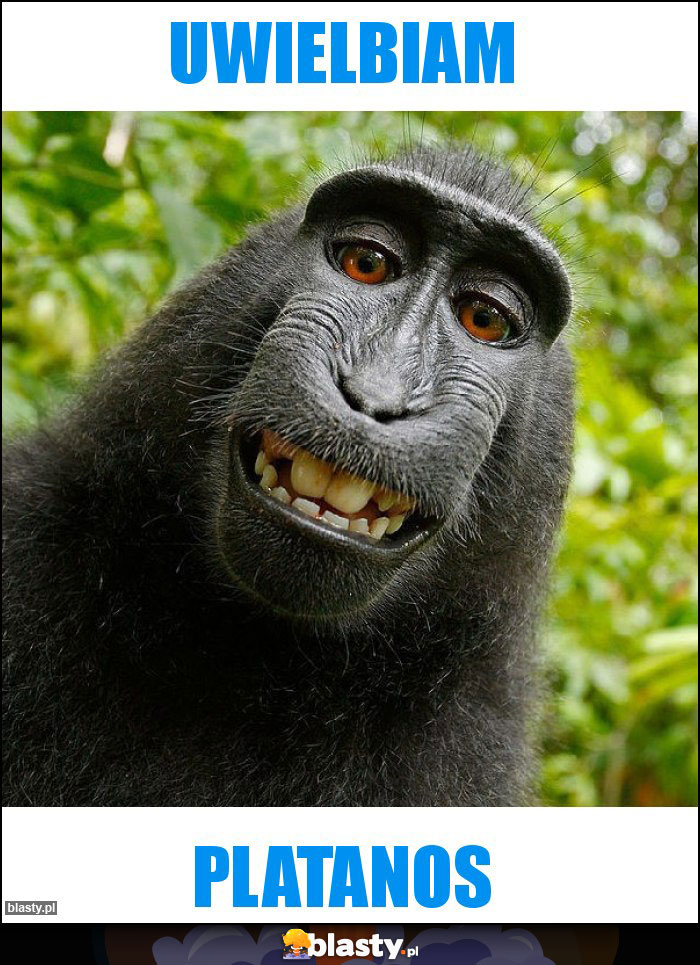 Uwielbiam