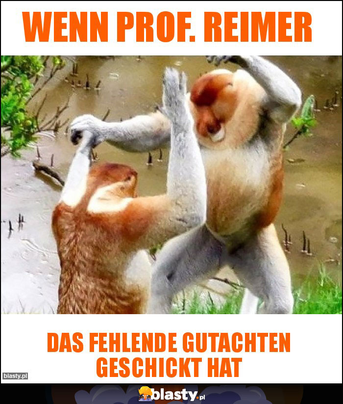 Wenn Prof. Reimer Wenn Prof. Reimer