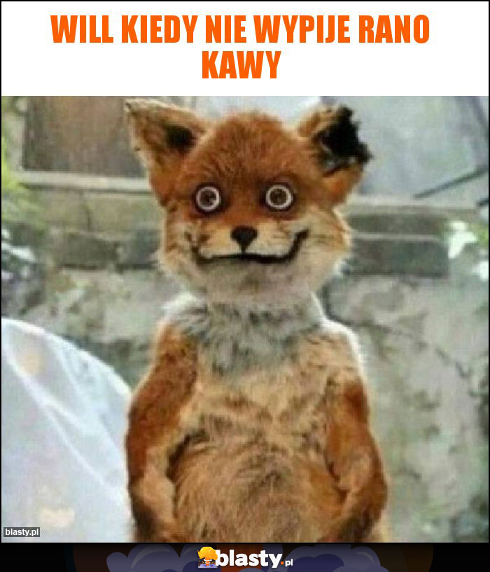 Will kiedy nie wypije rano kawy Will kiedy nie wypije rano kawy