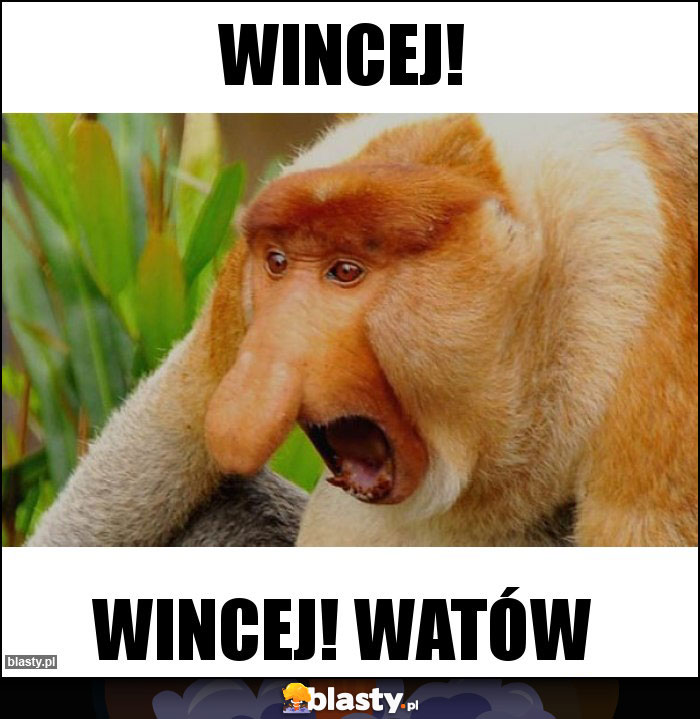 Wincej!