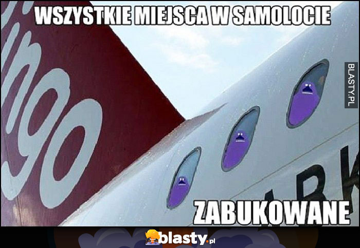 Wszystkie miejsca w samolocie zabukowane dosłownie Buka