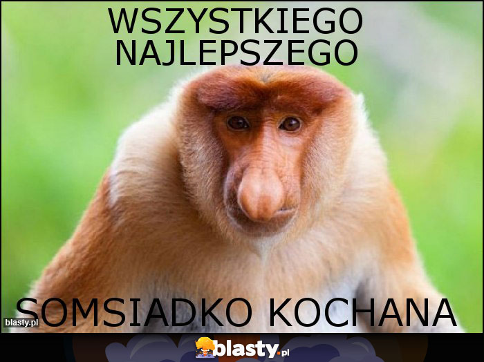 Wszystkiego najlepszego Wszystkiego najlepszego
