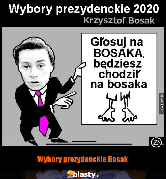 Wybory prezydenckie Bosak Wybory prezydenckie Bosak