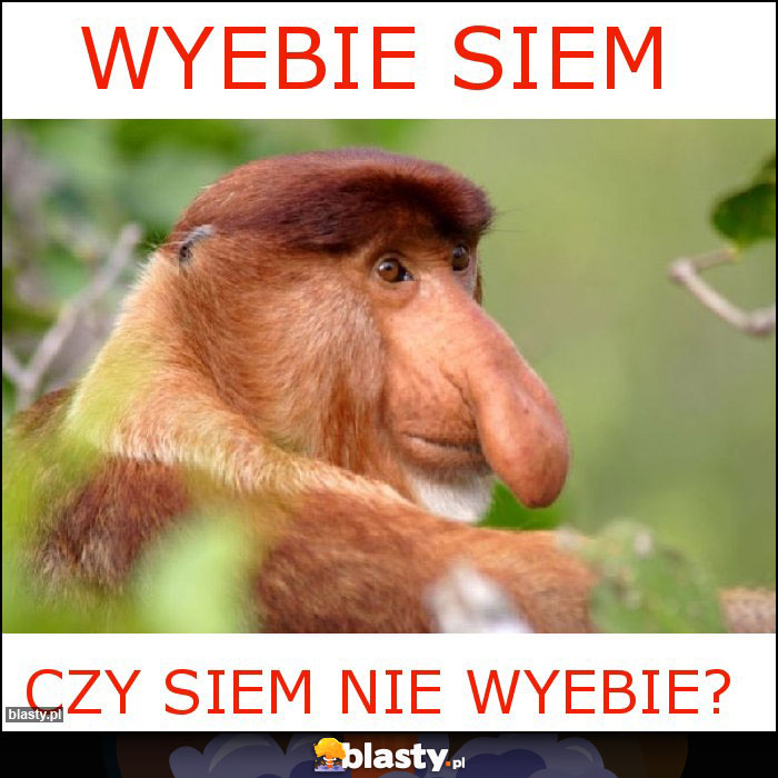 Wyebie siem Wyebie siem
