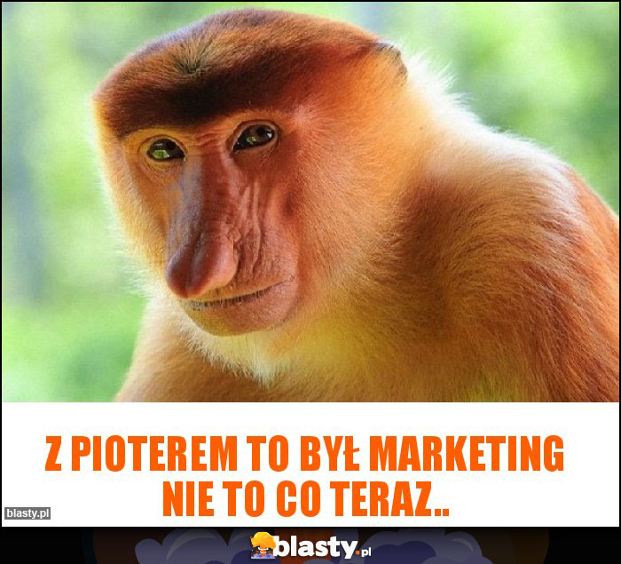 Z pioterem to był marketing nie to co teraz.. Z pioterem to był marketing nie to co teraz..