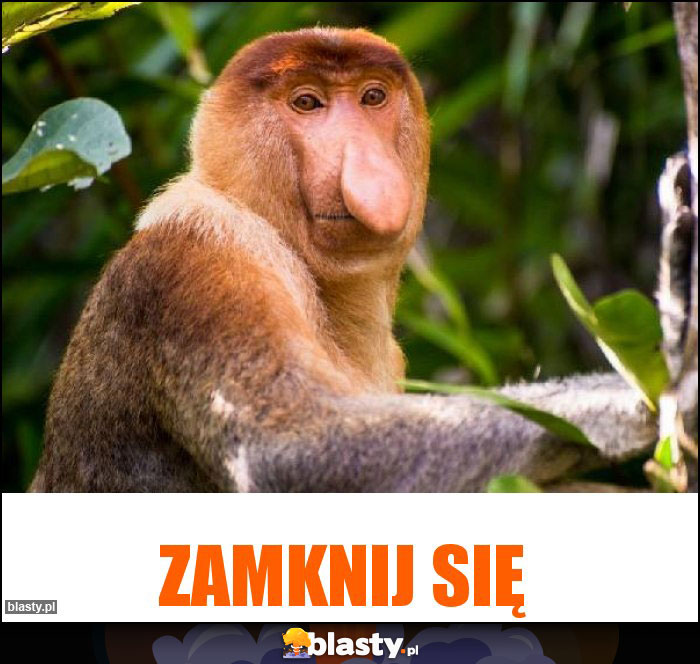 ZAMKNIJ SIĘ ZAMKNIJ SIĘ
