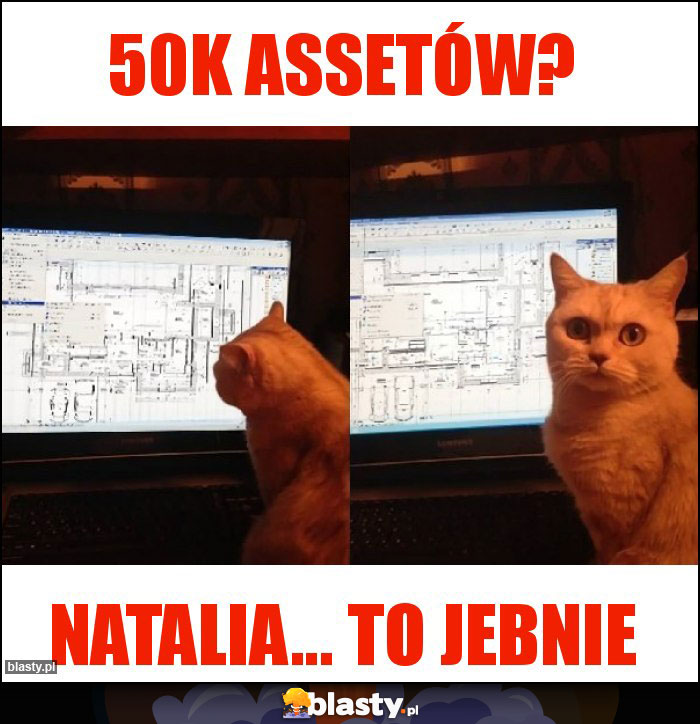 50k assetów?