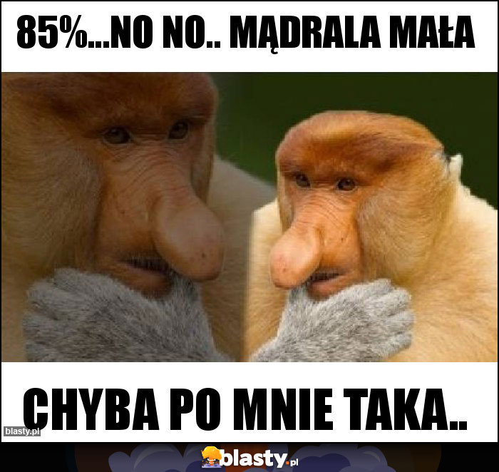 85%...no no.. Mądrala mała 85%...no no.. Mądrala mała