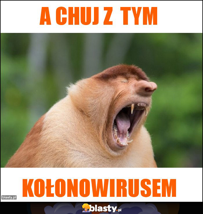 A chuj z tym A chuj z tym