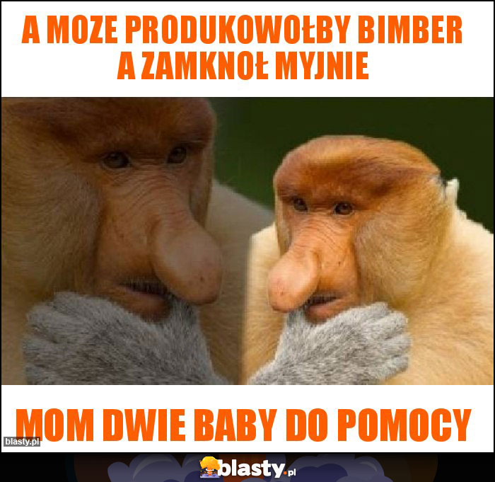 A moze produkowołby bimber a zamknoł myjnie A moze produkowołby bimber a zamknoł myjnie